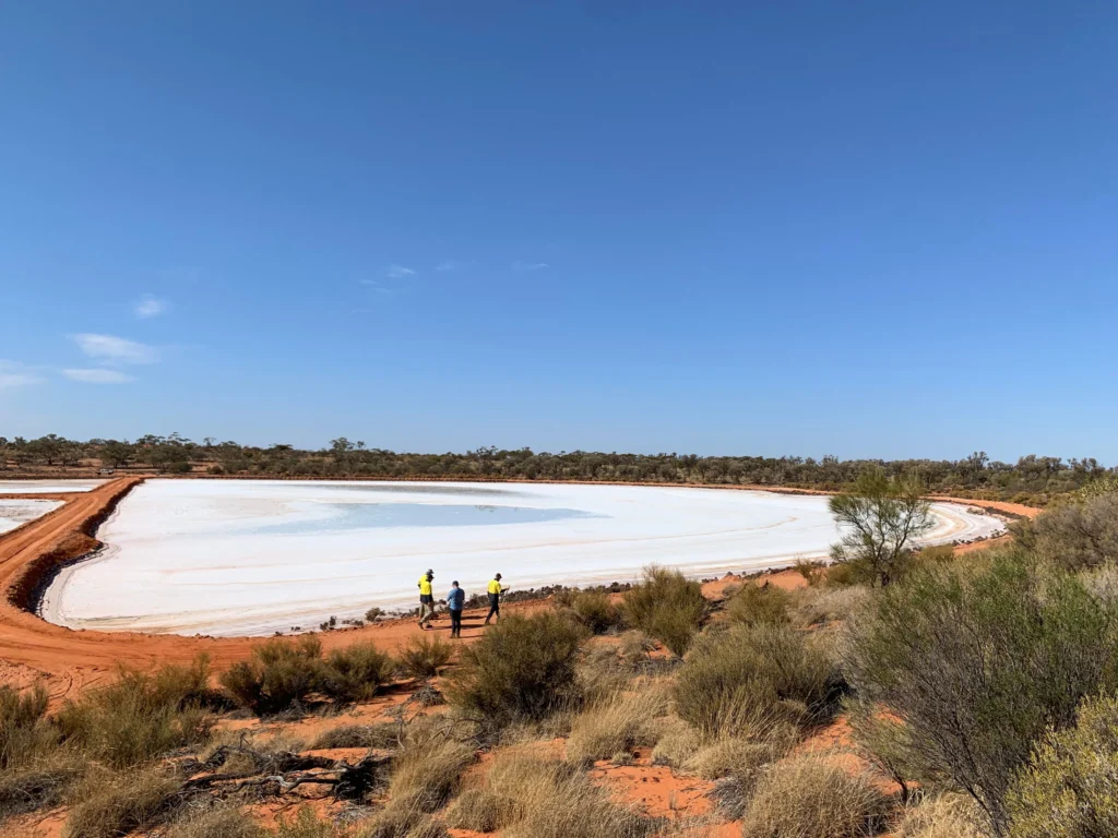 P1gba40ql318o1o1g1hmukrbv0td