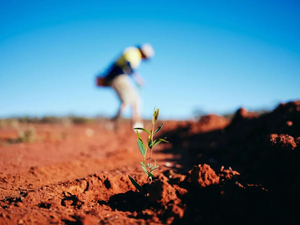 P1ghi9ck2gam0cnn1ciaujk1kn77