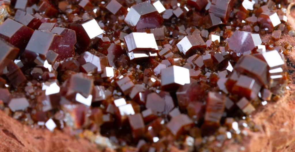 P1gj5qngaeavha9hlfpr1rn3d5