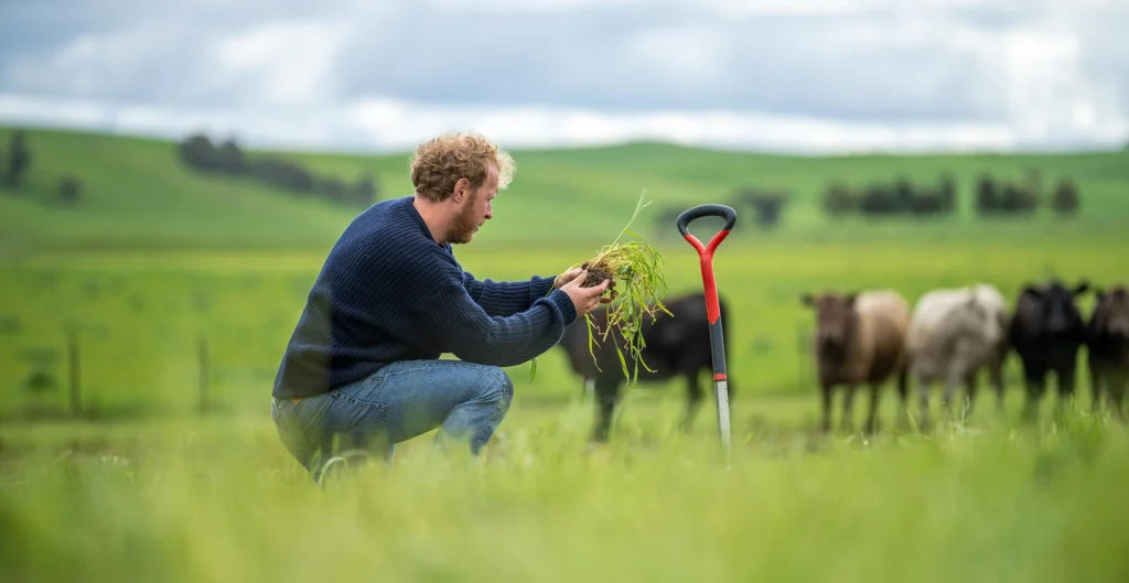 P1gtuo90v8jji1bg61n041ts584i5